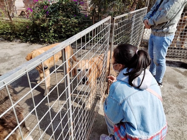 1572757940373.jpeg 1572757940373.jpeg